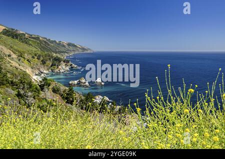 Wunderschöne Bucht am Pazifik entlang des berühmten Highway One in Kalifornien, USA und Nordamerika Stockfoto