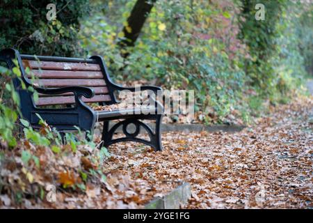 Kidderminster, Großbritannien. November 2024. Wetter in Großbritannien: Ein weiterer langweiliger und bewölkter Herbsttag, der aber größtenteils trocken bleibt. Quelle: Lee Hudson/Alamy Live News Stockfoto