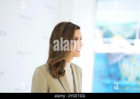 Madrid. Spanien. 20241107 präsentiert Ana Boyer die neue „Saude“-Kollektion von Trucco am 7. November 2024 im Amen-Geschäft in Madrid Stockfoto