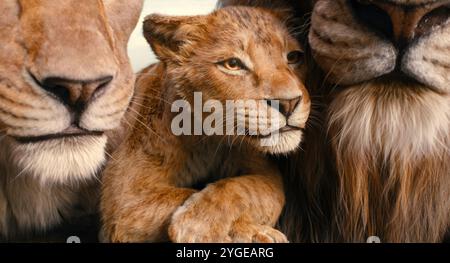 MUFASA: DER KÖNIG DER LÖWEN (2024), REGIE: BARRY JENKINS. Quelle: Walt Disney Pictures/Fairview Entertainment/Album Stockfoto