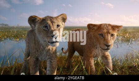 MUFASA: DER KÖNIG DER LÖWEN (2024), REGIE: BARRY JENKINS. Quelle: Walt Disney Pictures/Fairview Entertainment/Album Stockfoto