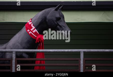 Szenen aus der Down Royal Racecourse am 2. Tag des Festival of Racing Weekend mit der Ladbrokes Champion Chase. Stockfoto