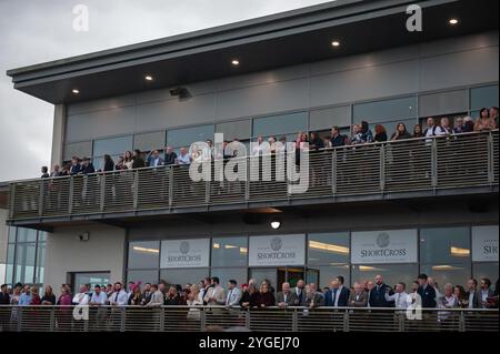 Szenen aus der Down Royal Racecourse am 2. Tag des Festival of Racing Weekend mit der Ladbrokes Champion Chase. Stockfoto