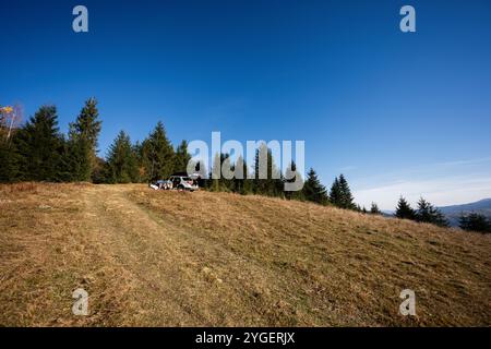 Eine Familie parkt ihr Auto auf einem grasbewachsenen Hügel, umgeben von einem üppigen immergrünen Wald unter einem klaren blauen Himmel. Die perfekte Umgebung für einen Tag im Freien und die Unterhaltung Stockfoto