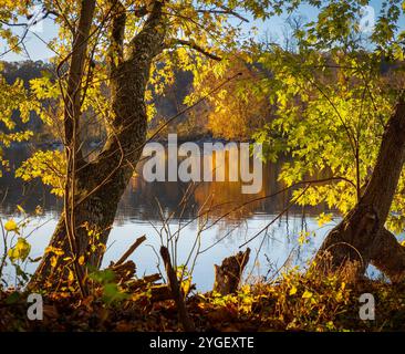 Herbstfarben am Ufer des Potomac River 2 Stockfoto