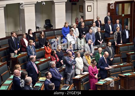 Brüssel, Belgien November 2024. Plenartagung der Kammer im Bundesparlament in Brüssel am Donnerstag, den 7. November 2024. BELGA PHOTO ERIC LALMAND Credit: Belga News Agency/Alamy Live News Stockfoto