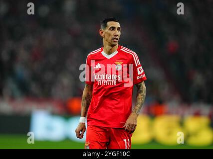 Allianz Areana, München, Deutschland. November 2024. Bayern München gegen Benfica bei Allianz Areana, München. Ulrik Pedersen/CSM (Bild: © Ulrik Pedersen/Cal Sport Media). Quelle: csm/Alamy Live News Stockfoto