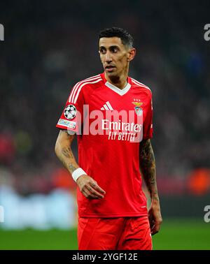 Allianz Areana, München, Deutschland. November 2024. Bayern München gegen Benfica bei Allianz Areana, München. Ulrik Pedersen/CSM/Alamy Live News Stockfoto