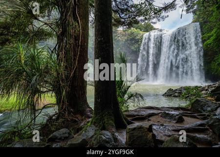 Whangarei Falls am Hatea River, Nordinsel, Neuseeland Stockfoto