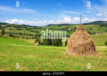 Bergige ländliche Landschaft mit Heuhaufen im Sommer. Sonniger Tag. Grünes Feld in karpaten der ukraine Stockfoto