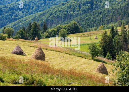 Bergige ländliche Landschaft mit Heuhaufen im Sommer. Rollender Hügel. Sonniger Tag. Grünes Feld in karpaten der ukraine. Bio-Weide Stockfoto
