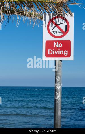 No Diving: Seaside Warning Sign eingerahmt von Palm Leaves Stockfoto
