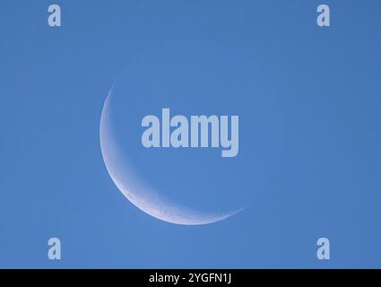 Der abnehmende Halbmond leuchtet am Morgenhimmel über Ottawa, Kanada, 28. September 2024 Stockfoto