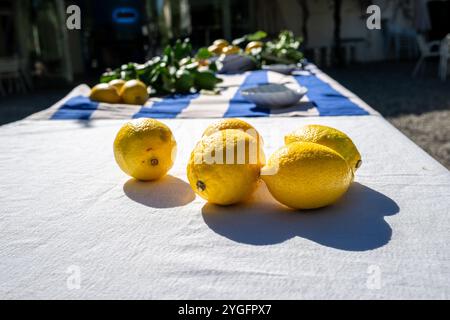 Eine Nahaufnahme von hellen Zitronen auf einer Tischdecke auf einer Outdoor-Hochzeitsfeier in Malaga, Spanien. Die Szene fängt eine sonnige und lebhafte Atmosphäre ein. Stockfoto