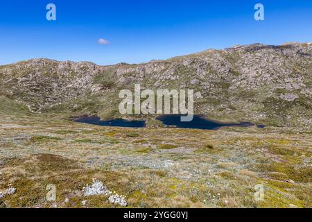 Erkunden Sie die ruhige Schönheit des Main Range Walk am Mt. Kosciuszko an einem klaren Tag mit üppiger Landschaft und ruhigen Seen, Australien Stockfoto