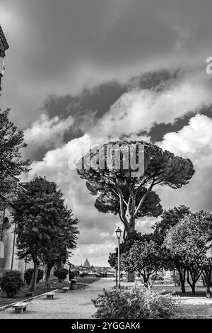 Blick auf den Schwarzweiß-Park auf die Ewige Stadt, Rom, Italien, Reisen im Herbst ist unvergesslich Stockfoto