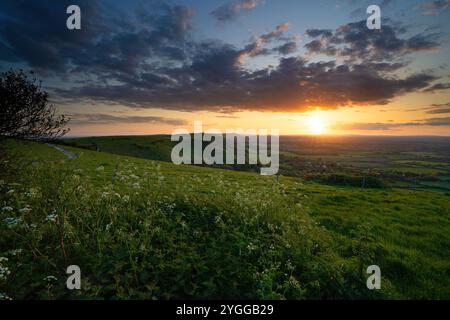 Die South Downs Landschaft bei Sonnenuntergang am Devil's Dyke bei Brighton in West Sussex, England. UK Stockfoto