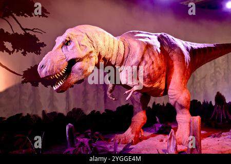 Ein bewegendes animatronisches Modell eines Tyrannosaurus Rex Dinosauriers im Natural History Museum, London, Großbritannien. Stockfoto