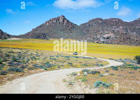 Afrika, Schönheit in der Natur, Wüste, Goegap Nature Reserve, Schotterstraße, Landschaft, Natur, keine Tiere, keine Menschen, Provinz Nordkap, Im Freien, Straße Stockfoto