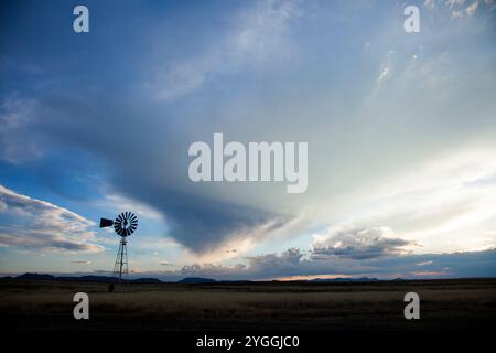 Windmühle, Karoo, Südafrika Stockfoto