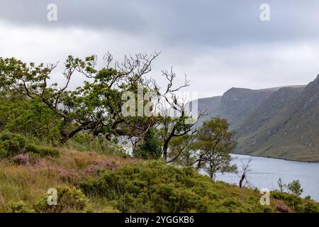 Lough Beagh, Glenveagh National Park, County Donegal, Republik Irland Stockfoto