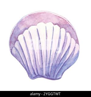 Ein weicher Lavendel und eine weiße, fächerförmige Schale in Aquarellfarben. Muschelmuschel-Clipart ideal für Hochzeitseinladungen, Textilmuster oder Merchandise zum Thema Sommerurlaub. Unterwasserleben Stockfoto