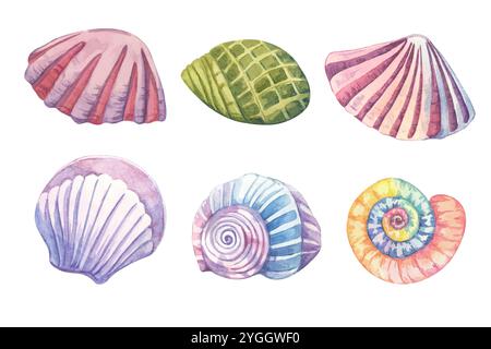 Eine Reihe von Wasserfarben-Schalen in verschiedenen Farben und Formen. Unterwasser-Mollusken-Clipart-Paket ideal für nahtlose Muster, Kinderzimmerdekorationen oder Sommer-Event-Flyer. Aquatic LIFE Kollektion Stockfoto