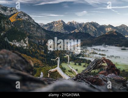 Blick von den Alpen auf die Königsschlösser Neuschwanstein und Hohenschangau mit dem Alpsee und den Allgäuer Alpen in einem herbstlich nebeligen lan Stockfoto