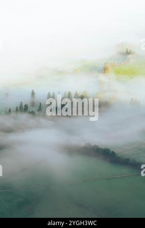 Herbstliche Morgenstimmung über der Allgäuer Wiese und Waldlandschaft im Märchennebel Stockfoto
