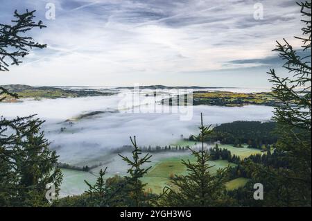 Panoramablick vom Berg über Fichtenbäume auf die östlichen Allgäuer Voralpen mit herbstlichen Wiesen und Wäldern in einem märchenhaften Meer von Stockfoto