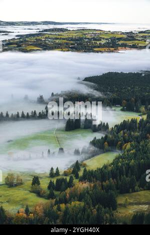 Panoramablick vom Berg des östlichen Allgäuer Voralpenlandes mit herbstlichen Wiesen und Wäldern in einem märchenhaften Herbstnebelmeer in Th Stockfoto