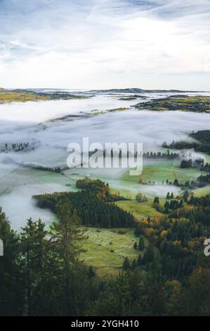 Panoramablick vom Berg über Fichtenbäume auf die östlichen Allgäuer Voralpen mit herbstlichen Wiesen und Wäldern in einem märchenhaften Meer von Stockfoto