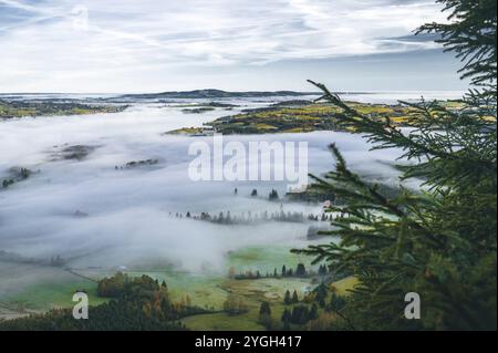 Panoramablick vom Berg über Fichtenbäume auf die östlichen Allgäuer Voralpen mit herbstlichen Wiesen und Wäldern in einem märchenhaften Meer von Stockfoto