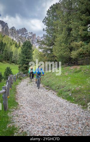 Italien, Trentino, Provinz Trient, Val di Fassa, zwei Radfahrer mit E-Bikes auf einer Silvopastoral Straße im Wald am Fuße des Rosengartens Stockfoto