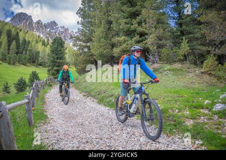 Italien, Trentino, Provinz Trient, Val di Fassa, zwei Radfahrer mit E-Bikes auf einer Silvopastoral Straße im Wald am Fuße des Rosengartens Stockfoto