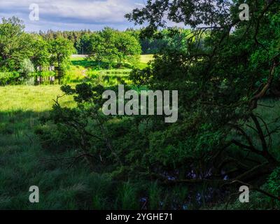 Buchsee bei Münsing im Fünfseenland Stockfoto