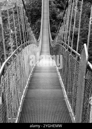 Am Höhenbach oberhalb des Holzgaus im Oberen Lechtal Stockfoto