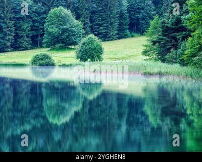 Morgenstimmung am Alatsee bei Füssen im Allgäu Stockfoto