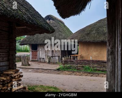 Führung durch das Haitabu Wikingermuseum auf dem Fluss Schlei, Häuser Stockfoto