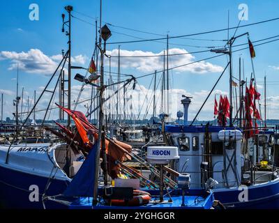 Im Hafen von Maasholm, Schleimünde Stockfoto