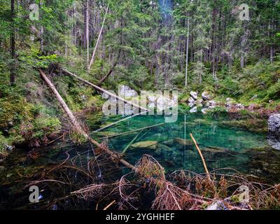 Rechts vom Wanderweg rund um den Eibsee am Drachensee Stockfoto