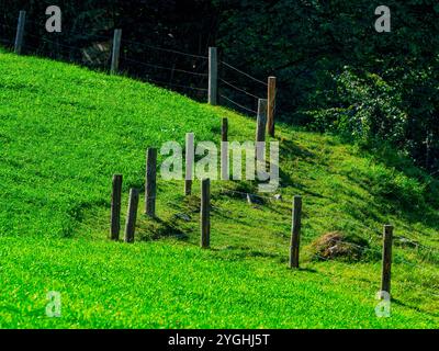 Spätsommer bei Wamberg (Garmisch-Partenkirchen) Stockfoto