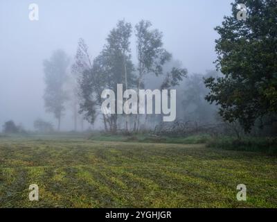 Herbstaufgang im Schmuttertal bei Margertshausen im Naturpark Augsburger Westwälder Stockfoto