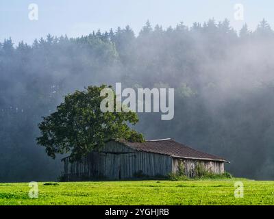 Herbstnebel im Naturpark Augsburger Westwälder bei Fischach Stockfoto