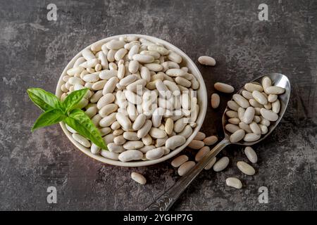 Bio-Kidneybohnen in einer Schüssel über strukturiertem grauen Hintergrund. Schüssel und Löffel mit rohen weißen Bohnen zum Kochen vegetarischer Gerichte. Pflanzliches Protein. Stockfoto