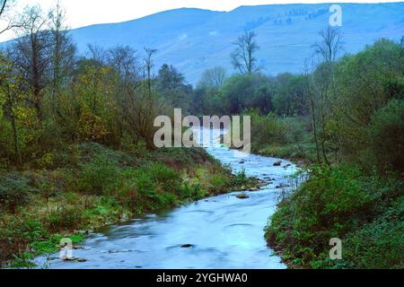 Ein ruhiger Blick auf den Fluss Saja, der sanft durch das üppige Cabuerniga-Tal in Kantabrien fließt. Stockfoto