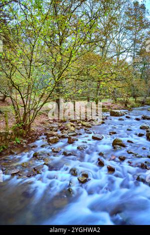 Eine ruhige Szene des Bayones River, der sanft über Felsen im üppigen Ucieda Wald fließt, im malerischen Cabuerniga Valley, Kantabrien. Stockfoto