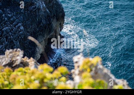 Die Klippen von Bufones of Pria im Kantabrischen Meer, auch bekannt als Pria Blowholes, sind ein faszinierendes natürliches geologisches Phänomen im Norden Stockfoto