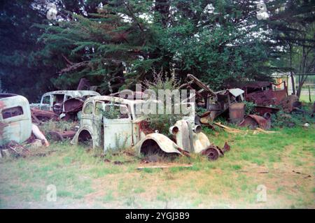 Alte rostende Autos, die von der Natur auf einem alten Schrottplatz in Neuseeland bewachsen sind. Klassische, altbewährte Automobile, die von der Natur zurückgewonnen werden Stockfoto