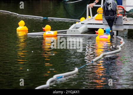 Das Great Warrington and Latchford Duck Race Stockfoto